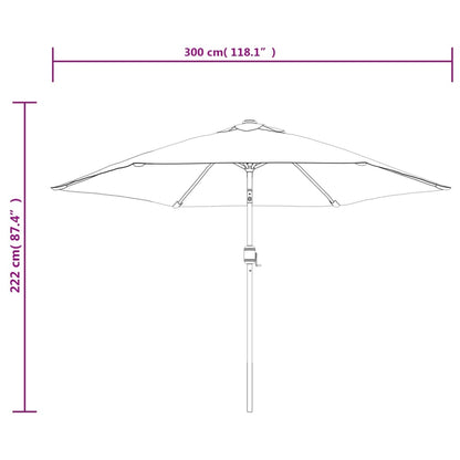 Parasol met metalen paal 300 cm zwart