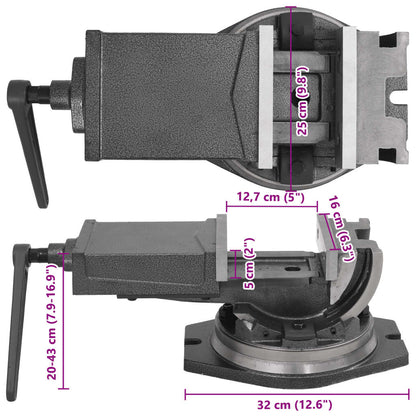 Bankschroef met 2 assen kantelbaar 160 mm