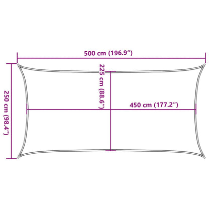 Zonnezeil rechthoekig 160 g/m² 2,5x5 m HDPE lichtgrijs