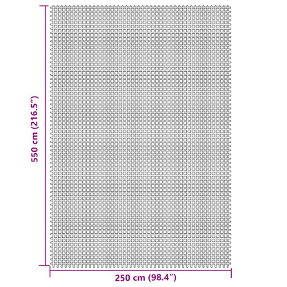 Kampeerkleed 5,5x2,5 m lichtgrijs