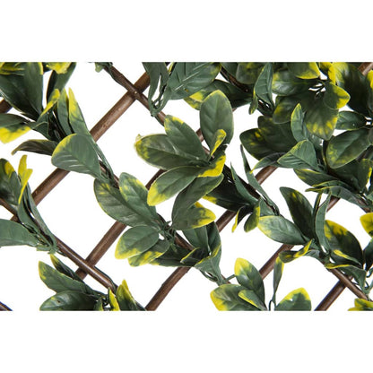 Nature tuinlatwerk met California liguster groen en geel blad 90x180 cm