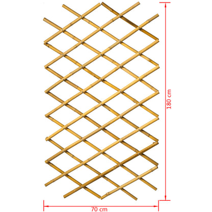 Nature tuinlatwerk voor tuin 70x180 cm bamboe 6040721