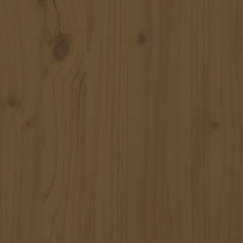 vidaXL Plantenbak verhoogd 160x30x38 cm massief grenenhout honingbruin